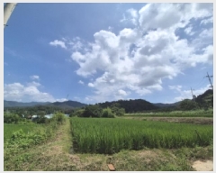  2025Ÿ��3952 ��� ���׽� �ϱ� ��ϸ� �� 527-2     ����(��)���