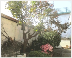  2025Ÿ��3972  ���ð��