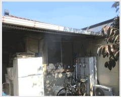  2025Ÿ��3972  ���ð��