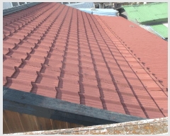  2025Ÿ��3972  ���ð��