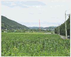  2025Ÿ��3987 ��� ���׽� ���� ������ �߸��� 1111     ����(��)���