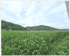  2025Ÿ��3987 ��� ���׽� ���� ������ �߸��� 1111     ����(��)���