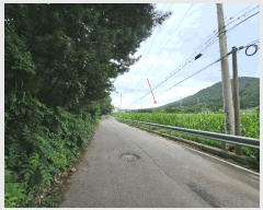  2025Ÿ��3987 ��� ���׽� ���� ������ �߸��� 1111     ����(��)���