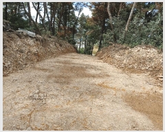  2025Ÿ��4007 ��� ���׽� �ϱ� û�ϸ� �̳��� 145-30     ����(�Ӿ�)���