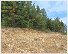  2025Ÿ��4007 ��� ���׽� �ϱ� û�ϸ� �̳��� 145-30     ����(�Ӿ�)���