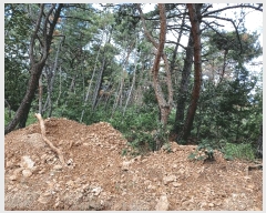  2025Ÿ��4007 ��� ���׽� �ϱ� û�ϸ� �̳��� 145-30     ����(�Ӿ�)���