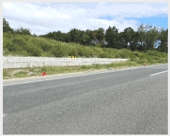  2025Ÿ��4007 ��� ���׽� �ϱ� û�ϸ� �̳��� 145-30     ����(�Ӿ�)���