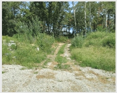  2025Ÿ��4007 ��� ���׽� �ϱ� û�ϸ� �̳��� 145-30     ����(�Ӿ�)���