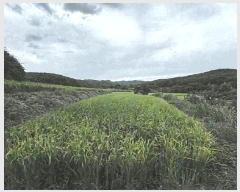  2025Ÿ��4022  ����