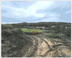  2025Ÿ��4022  ����