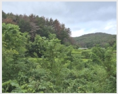  2025Ÿ��4022  ����