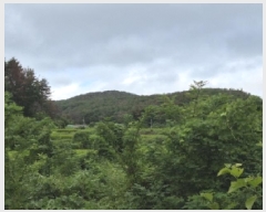  2025Ÿ��4022  ����