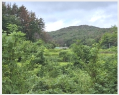  2025Ÿ��4022  ����