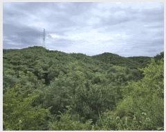  2025Ÿ��4062  �Ӿ߰��