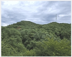  2025Ÿ��4062  �Ӿ߰��