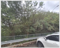  2025Ÿ��4062  �Ӿ߰��