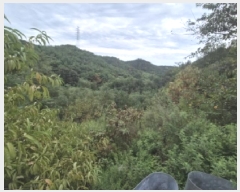  2025Ÿ��4062  �Ӿ߰��