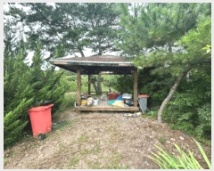  2025Ÿ��168  ���ð��