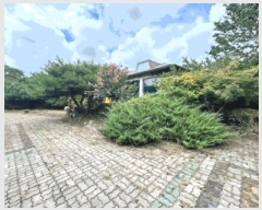  2025Ÿ��168  ���ð��