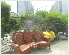  2025Ÿ��252 ��� ���׽� ���� ������ ��õ�� 176-2     ����(��)���