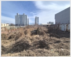  2025Ÿ��252 ��� ���׽� ���� ������ ��õ�� 176-2     ����(��)���