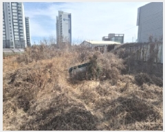  2025Ÿ��252 ��� ���׽� ���� ������ ��õ�� 176-2     ����(��)���