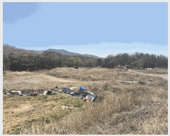  2025Ÿ��277  ����