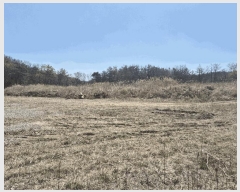  2025Ÿ��277  ����