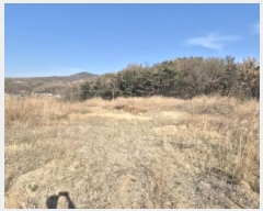  2025Ÿ��277  ����