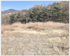  2025Ÿ��277  ����