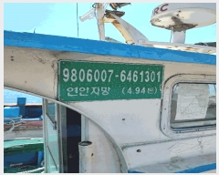  2025Ÿ��308 ���׽� ��������         ���ڰ��