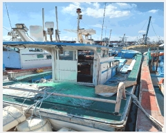  2025Ÿ��308 ���׽� ��������         ���ڰ��