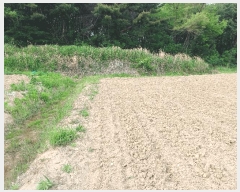  2025Ÿ��348 ��� ���׽� ���� ��õ�� ���� 792     ����(��)���