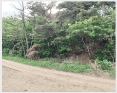  2025Ÿ��348 ��� ���׽� ���� ��õ�� ���� 792     ����(��)���