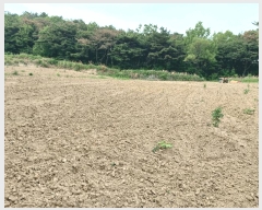  2025Ÿ��348 ��� ���׽� ���� ��õ�� ���� 792     ����(��)���