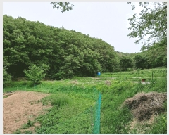  2025Ÿ��348 ��� ���׽� ���� ��õ�� ���� 792     ����(��)���