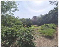  2025Ÿ��348 ��� ���׽� ���� ��õ�� ���� 792     ����(��)���