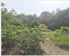  2025Ÿ��348 ��� ���׽� ���� ��õ�� ���� 792     ����(��)���