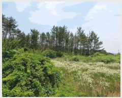  2025Ÿ��363  �Ӿ߰��