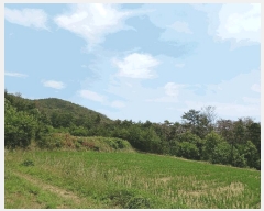  2025Ÿ��363  �Ӿ߰��