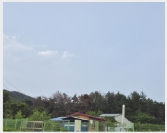  2025Ÿ��363  �Ӿ߰��