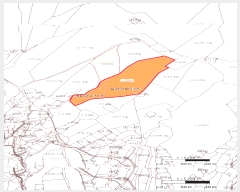  2025Ÿ��363  �Ӿ߰��