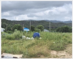  2025Ÿ��368 ��� ���׽� �ϱ� ������ �ʰ 173     ����(��)���