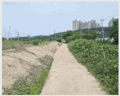  2025Ÿ��368 ��� ���׽� �ϱ� ������ �ʰ 173     ����(��)���