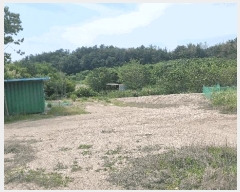  2025Ÿ��368 ��� ���׽� �ϱ� ������ �ʰ 173     ����(��)���