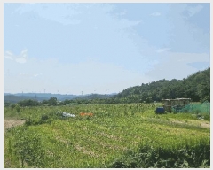  2025Ÿ��368 ��� ���׽� �ϱ� ������ �ʰ 173     ����(��)���