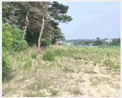  2025Ÿ��368 ��� ���׽� �ϱ� ������ �ʰ 173     ����(��)���