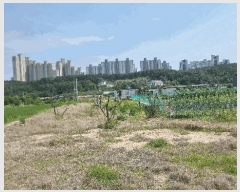  2025Ÿ��368 ��� ���׽� �ϱ� ������ �ʰ 173     ����(��)���