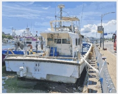  2025Ÿ408           ڰ