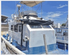  2025Ÿ408           ڰ